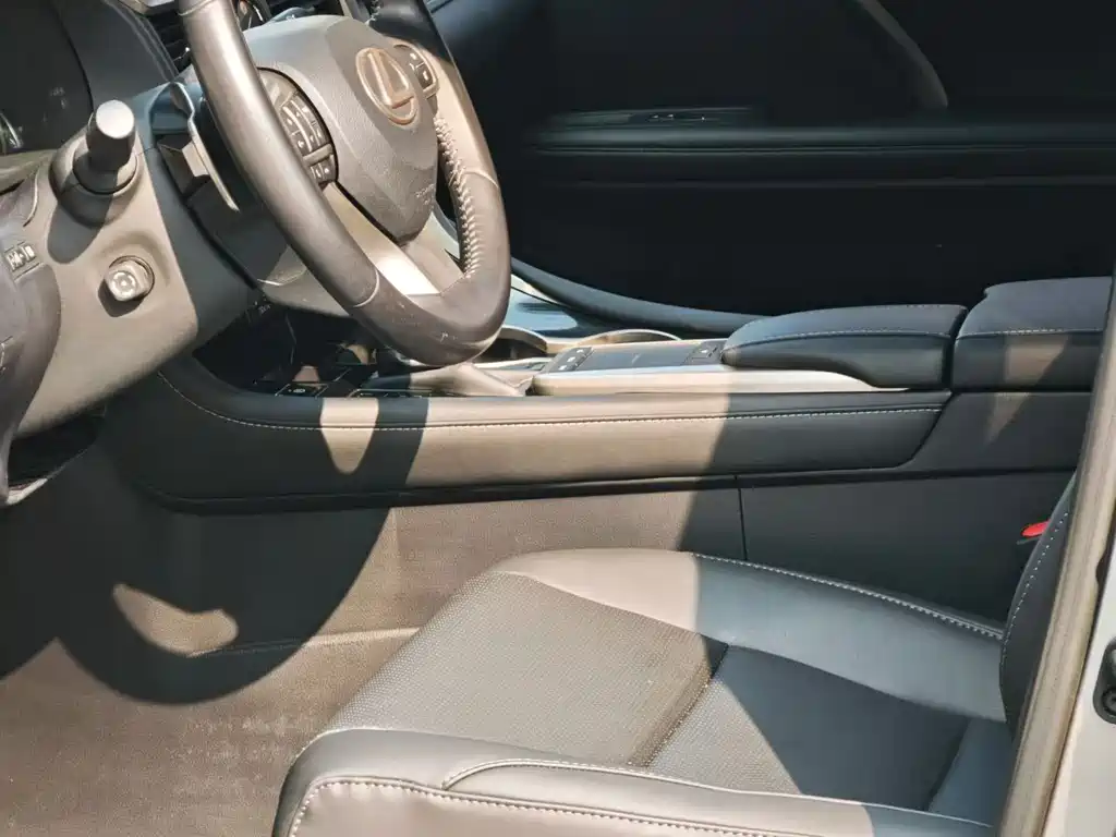 Lexus RX — миниатюра 13