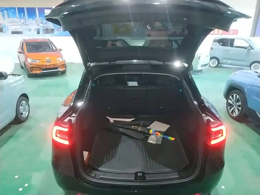 Tesla Model Y — миниатюра 19