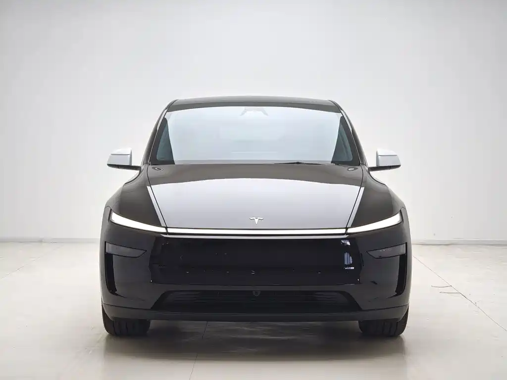 Tesla Model Y — миниатюра 2