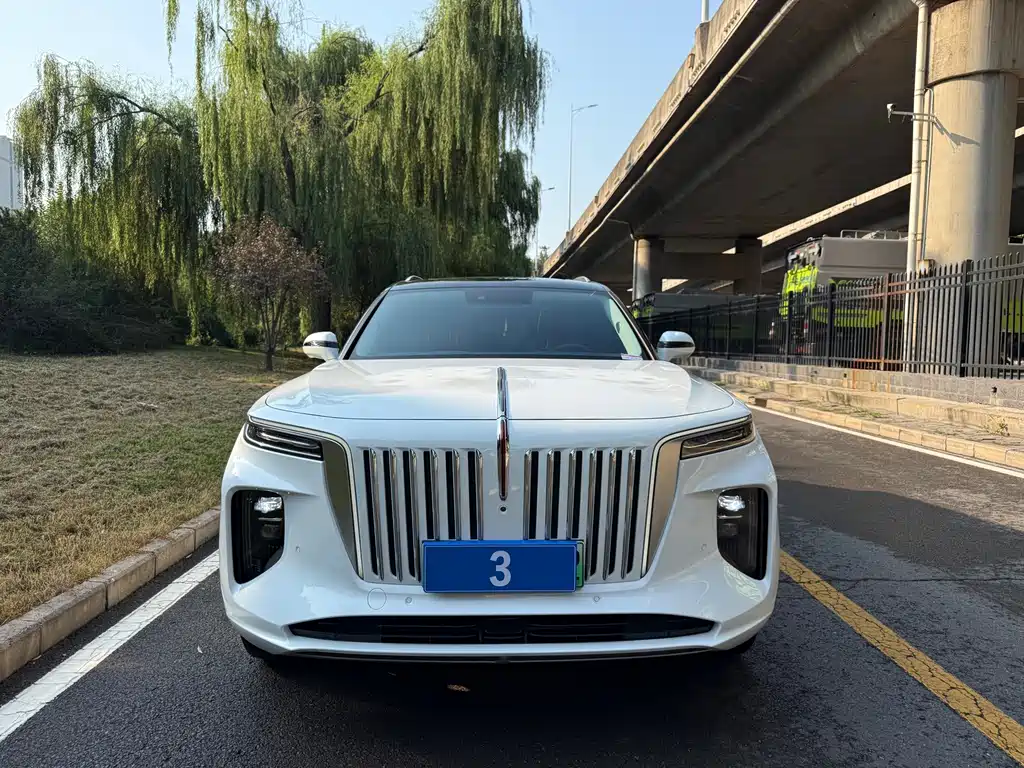 Hongqi Hongqi E-HS9 — миниатюра 2