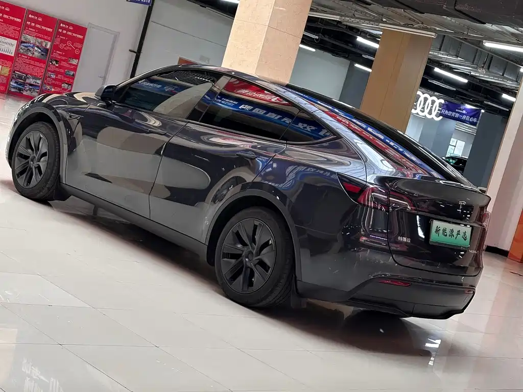 Tesla Model Y — миниатюра 8