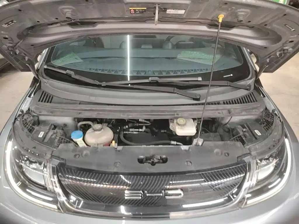 BYD Dolphin — миниатюра 20