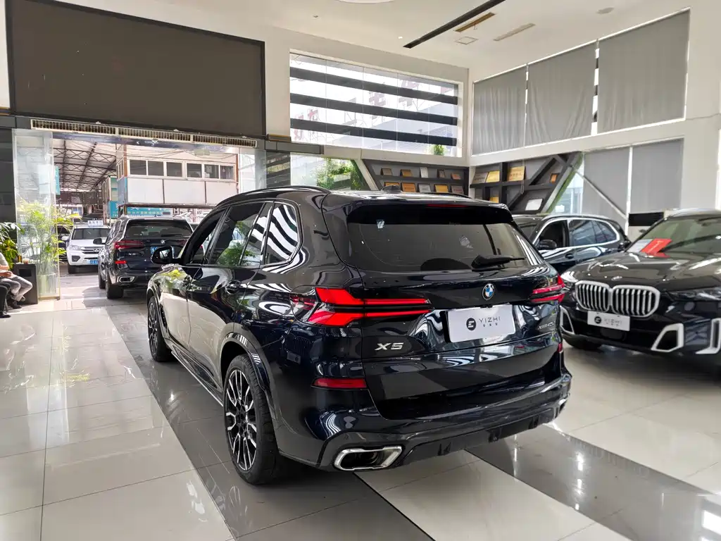 BMW X5 — миниатюра 4