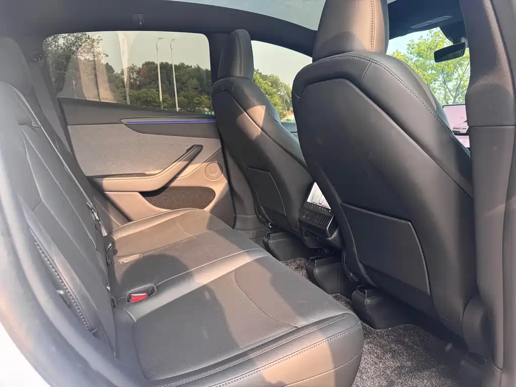 Tesla Model Y — миниатюра 7