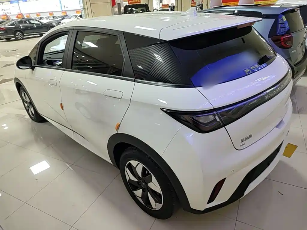 BYD Dolphin — миниатюра 5