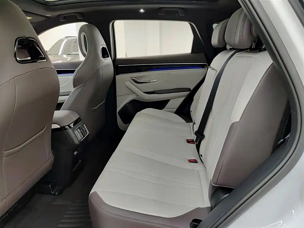 BYD SONGJIANG NEW ENERGY