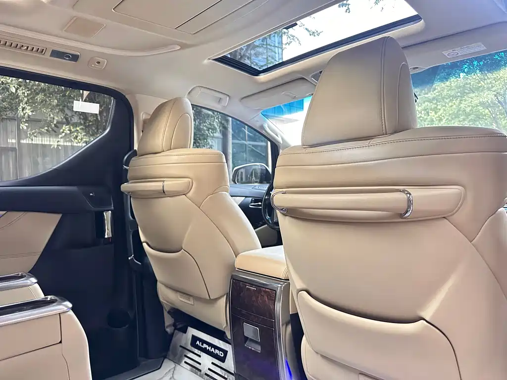 Toyota Alphard — миниатюра 13