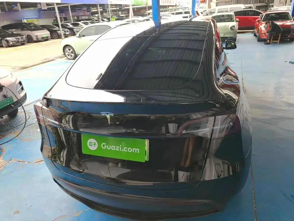 Tesla Model Y — миниатюра 6
