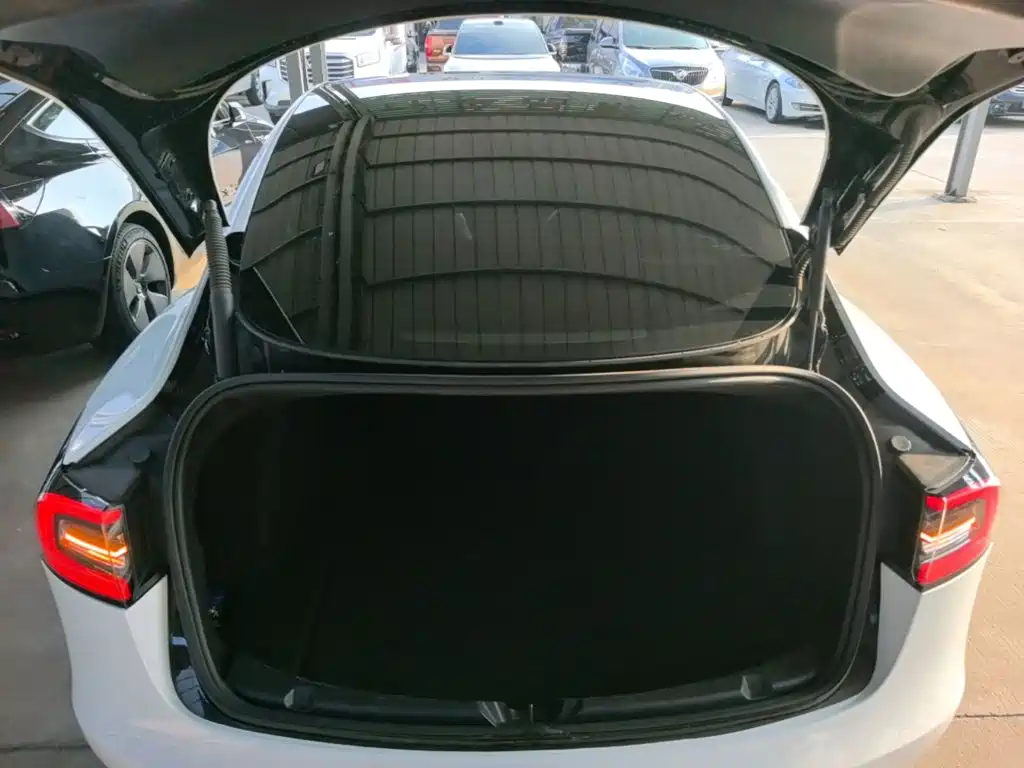 Tesla Model 3 — миниатюра 19