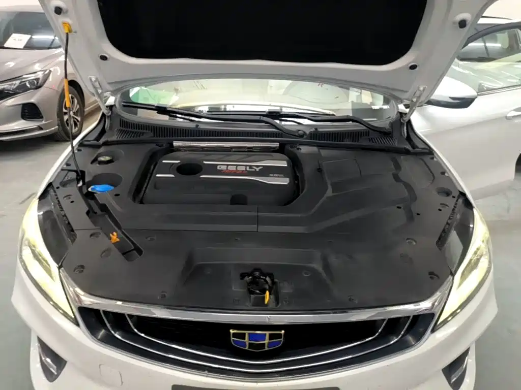 Geely Binrui — миниатюра 20