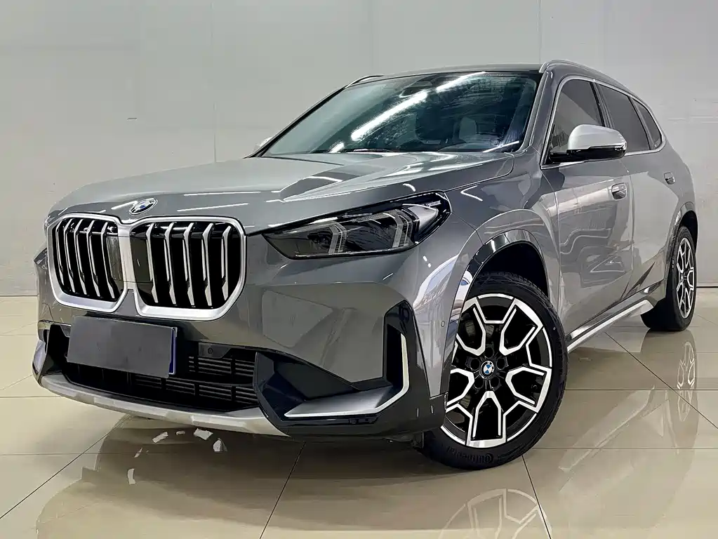 BMW X1 — миниатюра 2
