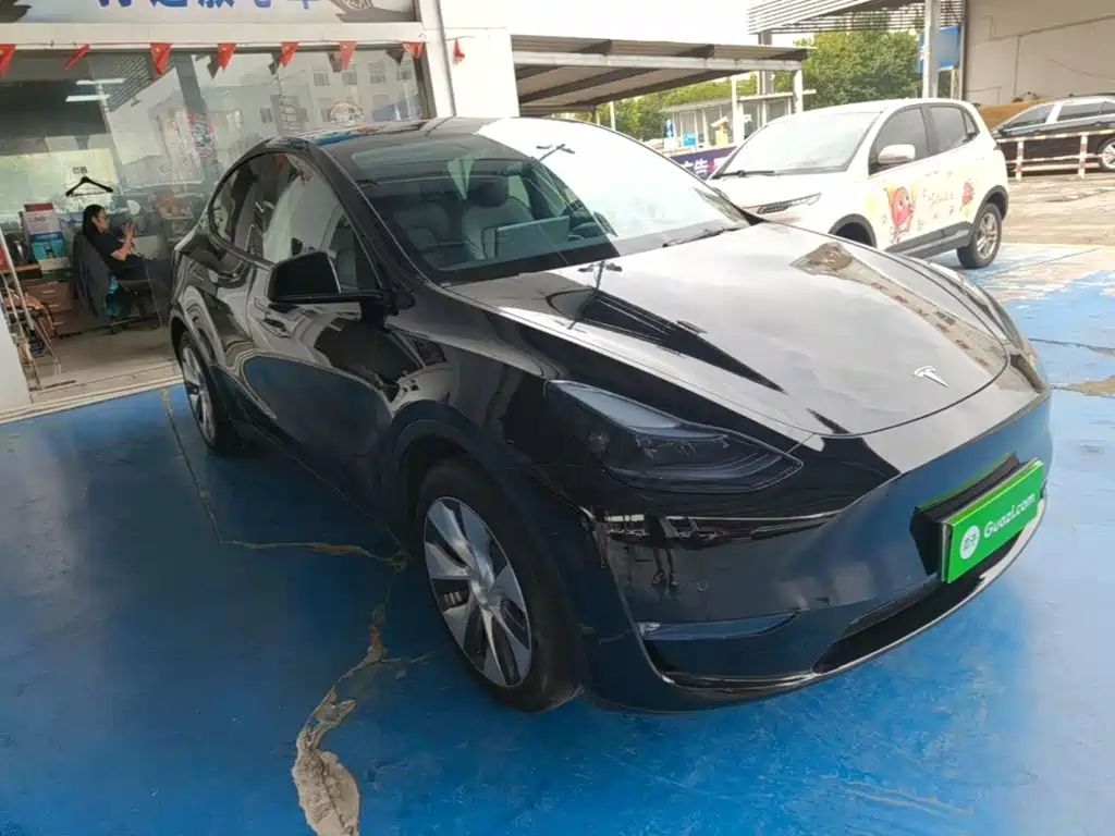 Tesla Model Y — миниатюра 4