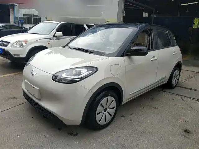 WULING WULING BINGGUO 2025