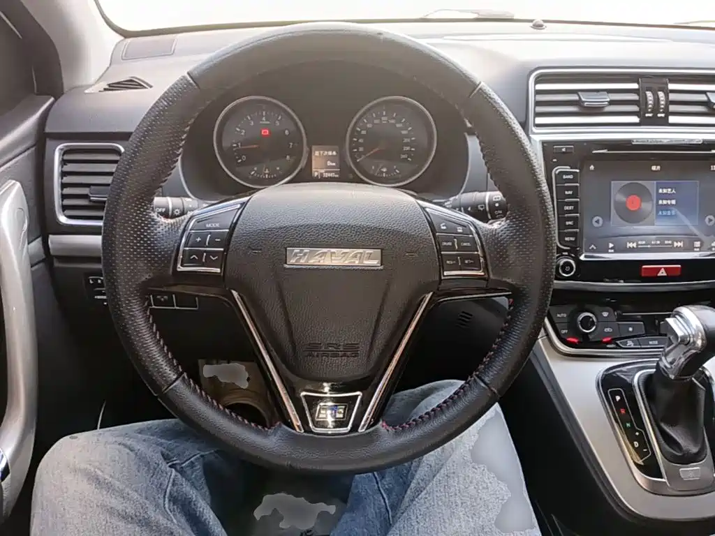 Haval H6 — миниатюра 11