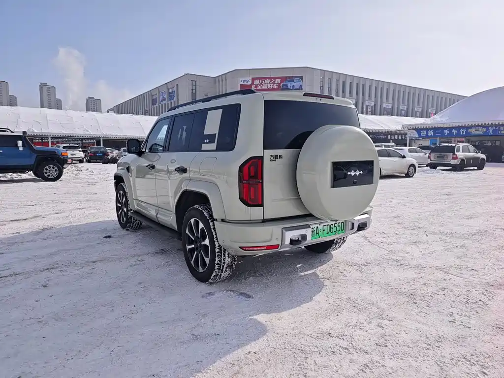 FANG CHENG BAO LEOPARD 5