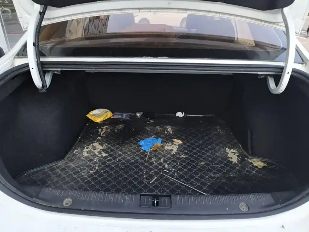 Roewe i6 Classic — миниатюра 19