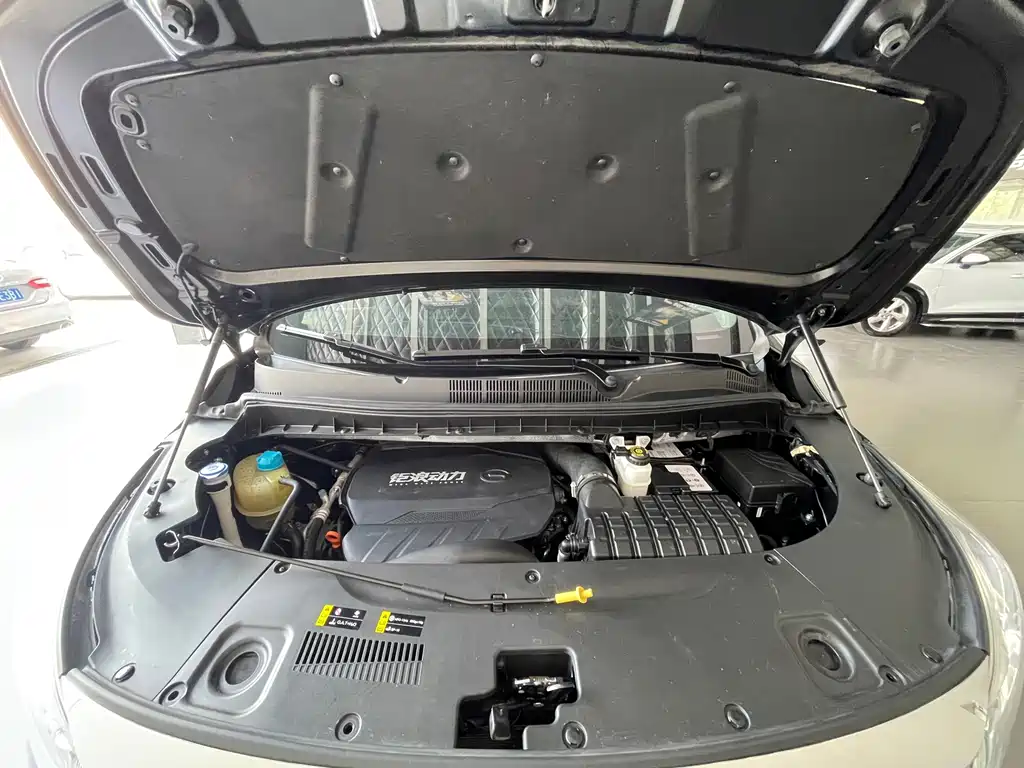 GAC Motor Trumpchi M8 — миниатюра 37
