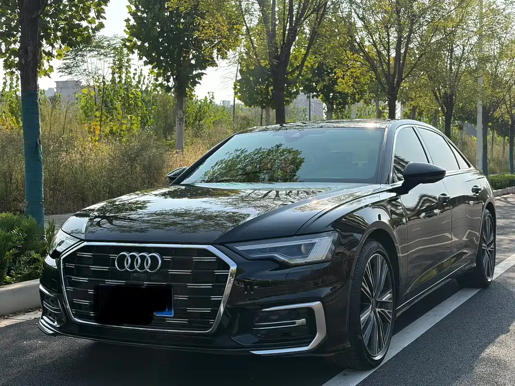 Audi A6L — миниатюра 16