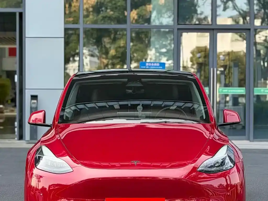 Tesla Model Y — миниатюра 2
