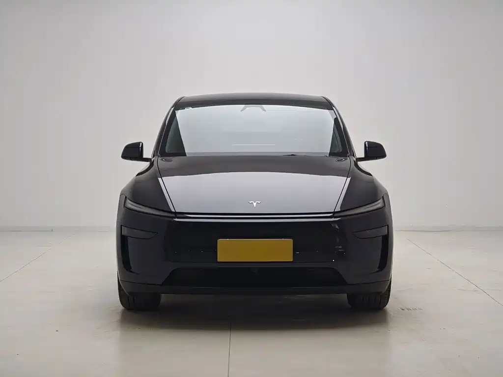 Tesla Model Y — миниатюра 2