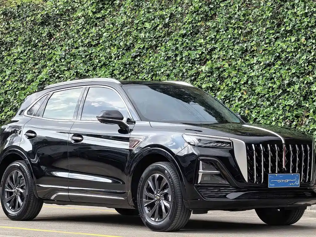 Hongqi Hongqi HS5 — миниатюра 3