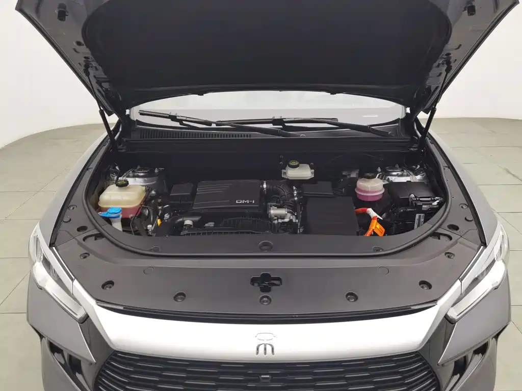 BYD Pro New Energy — миниатюра 6