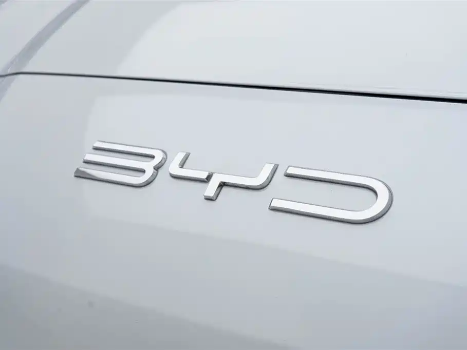 BYD SONGJIANG NEW ENERGY