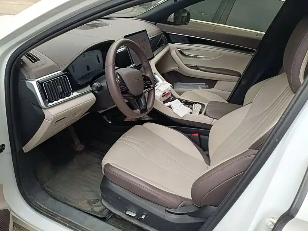 BYD PLUS New Energy — миниатюра 15