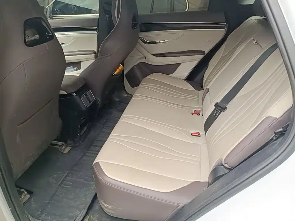 BYD PLUS New Energy — миниатюра 17