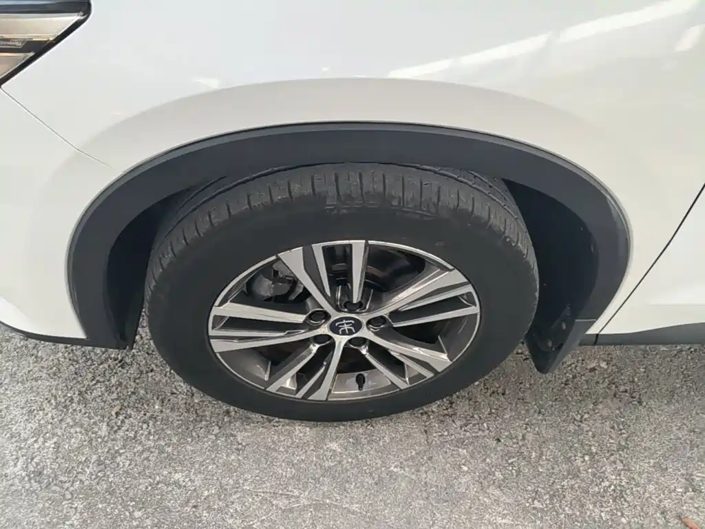 BYD Pro — миниатюра 23
