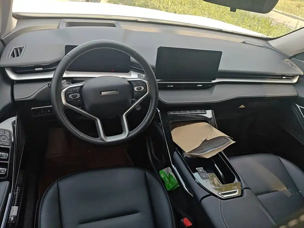 Haval H6 — миниатюра 5