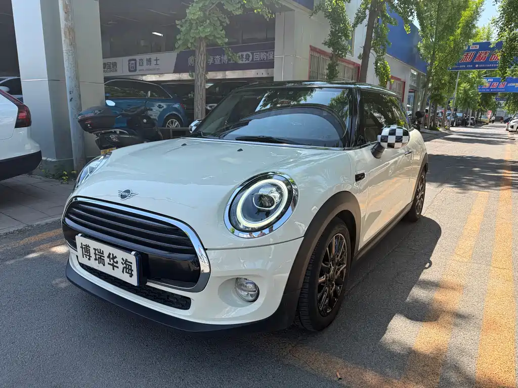 Mini Mini 2019