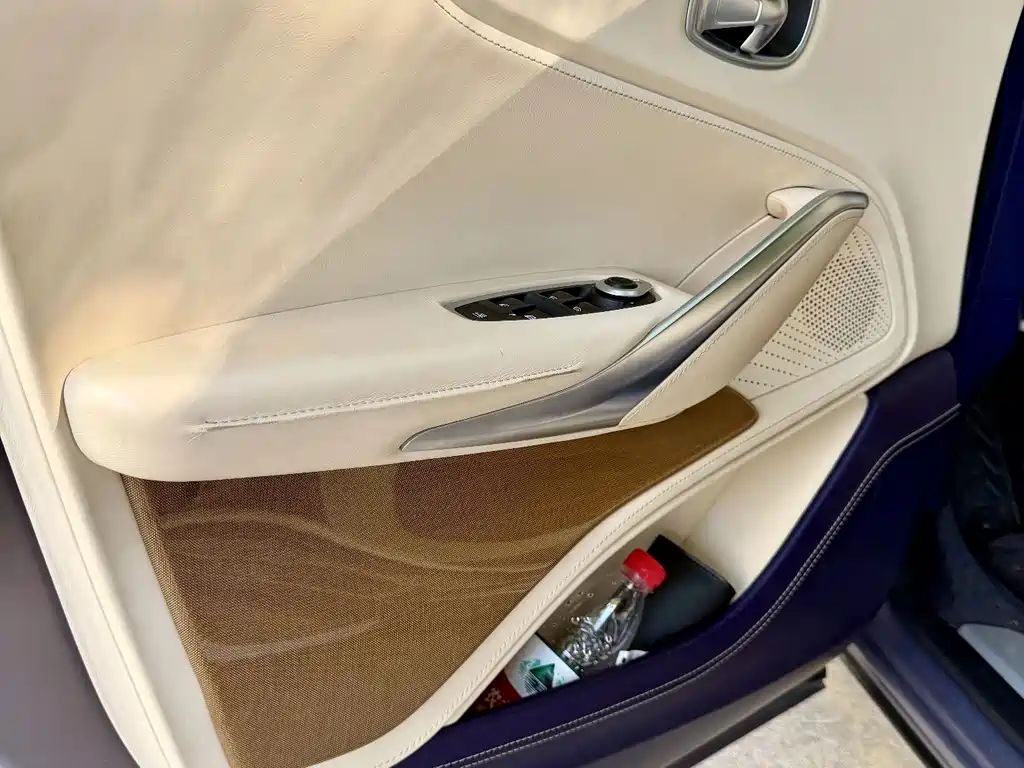Aston Martin DBX — миниатюра 9