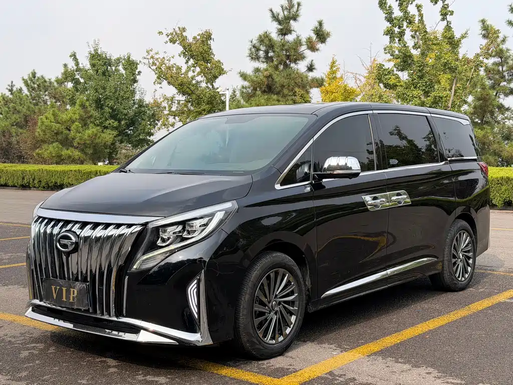 GAC Motor Trumpchi M8 — миниатюра 3
