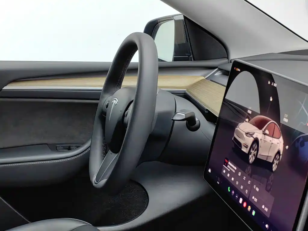Tesla Model Y — миниатюра 22