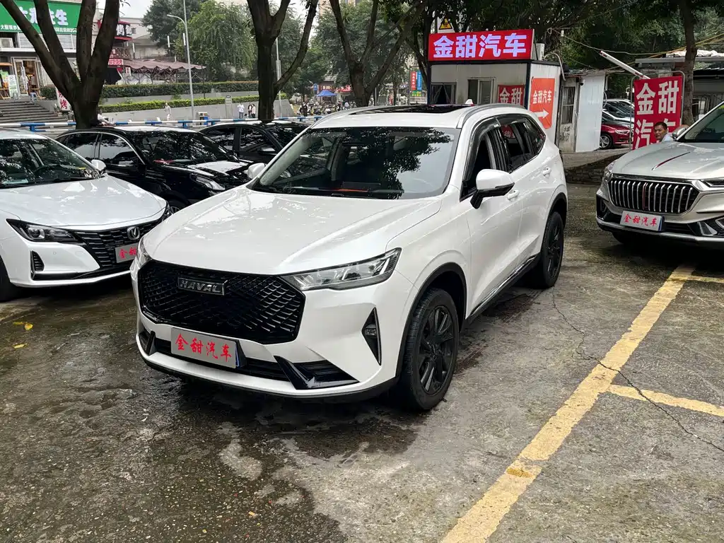 Haval H6 — миниатюра 3