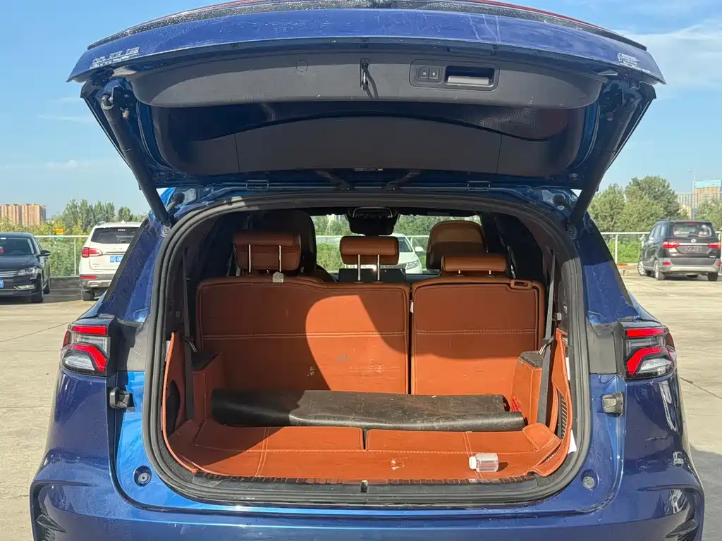BYD Tang New Energy — миниатюра 11