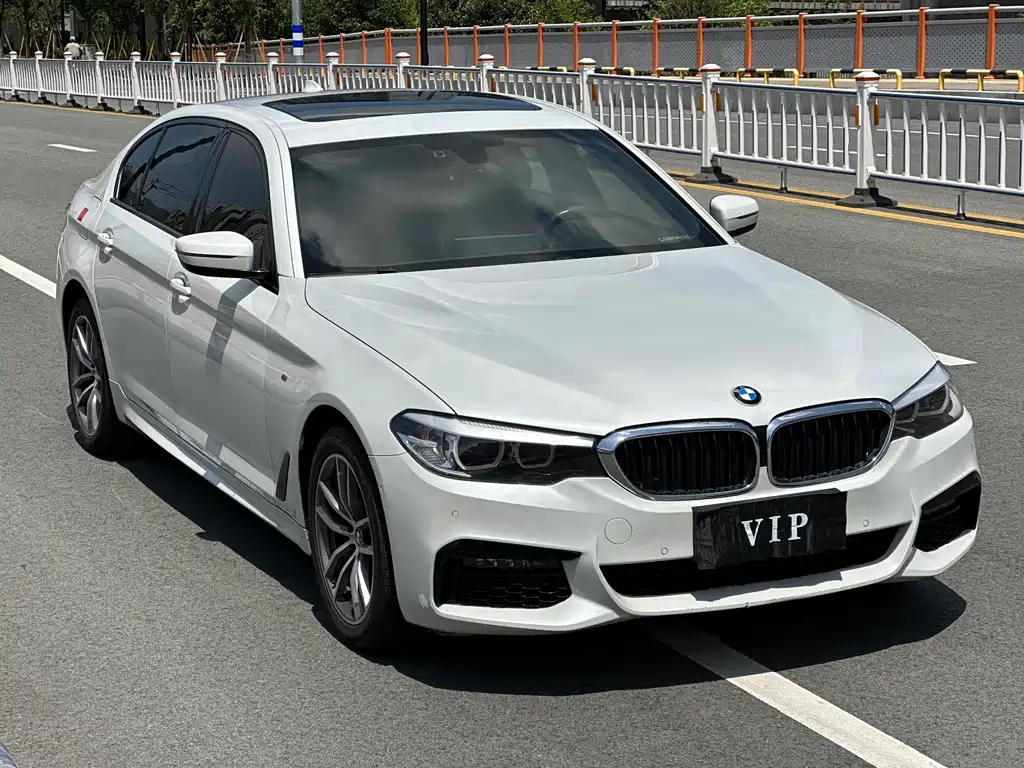 BMW 5 Series 5 2019 525Li M Sport