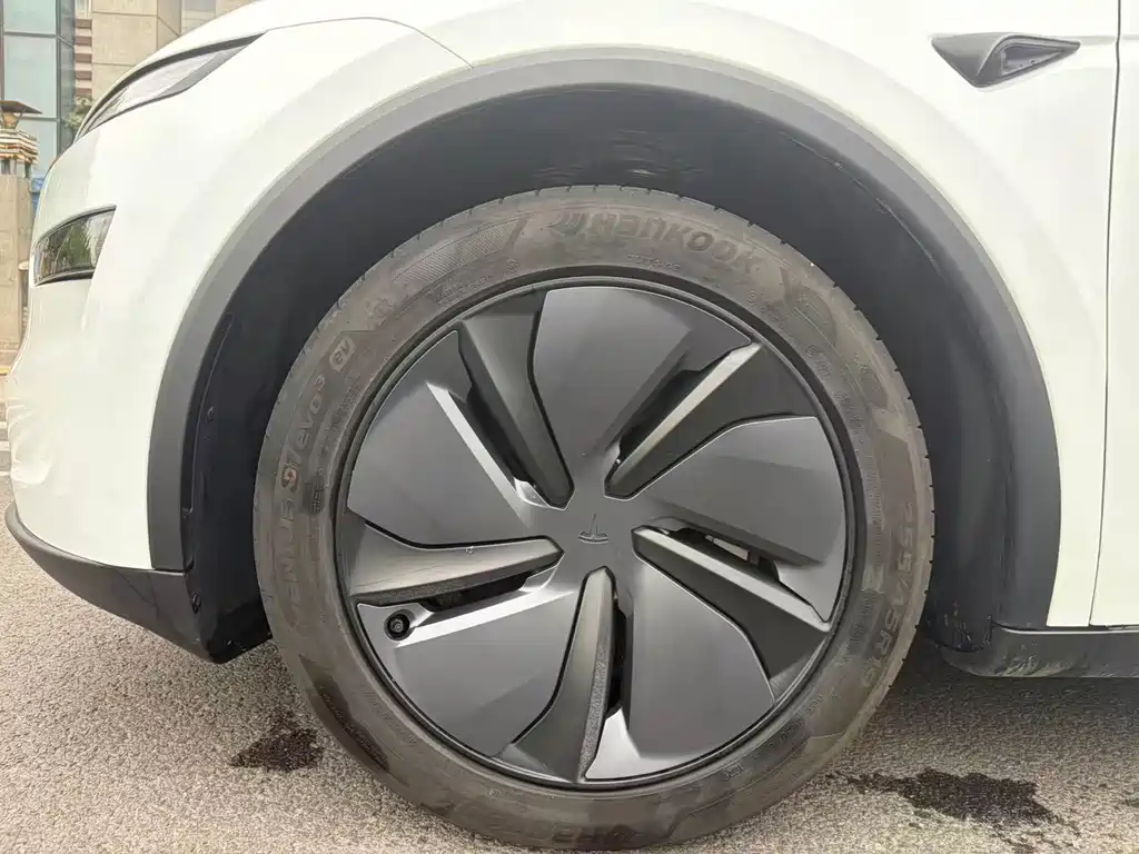 Tesla Model Y — миниатюра 5