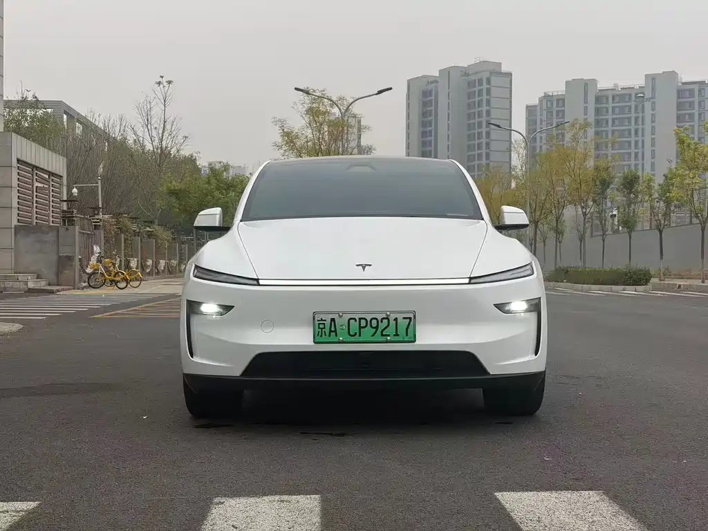 Tesla Model Y — миниатюра 2