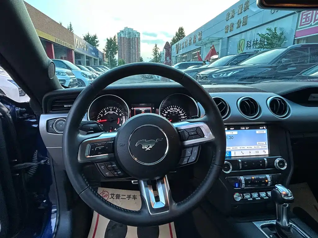 Ford Mustang — миниатюра 12
