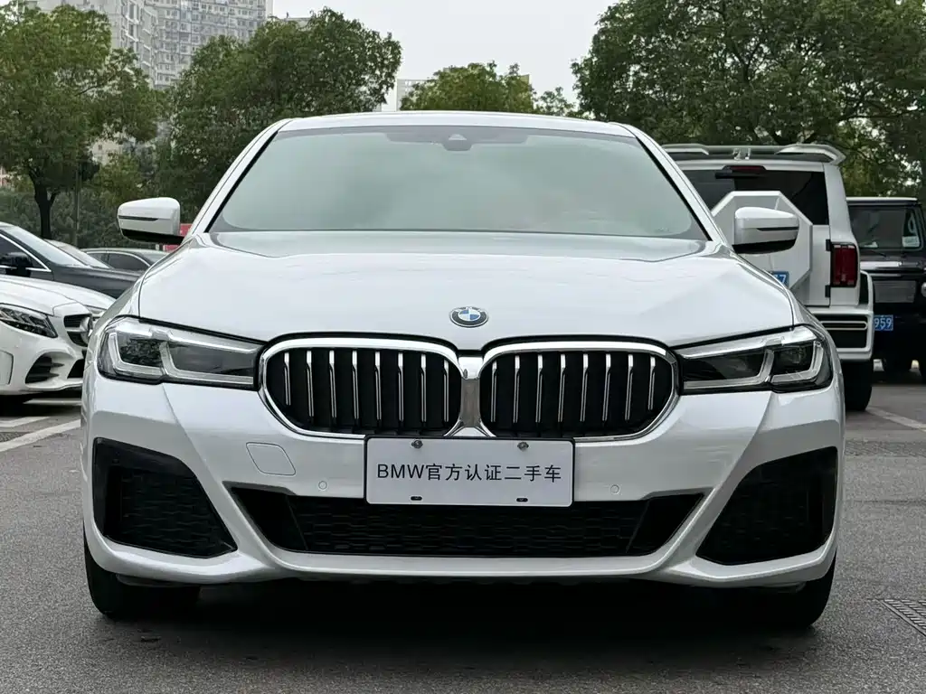 BMW 5 Series — миниатюра 2