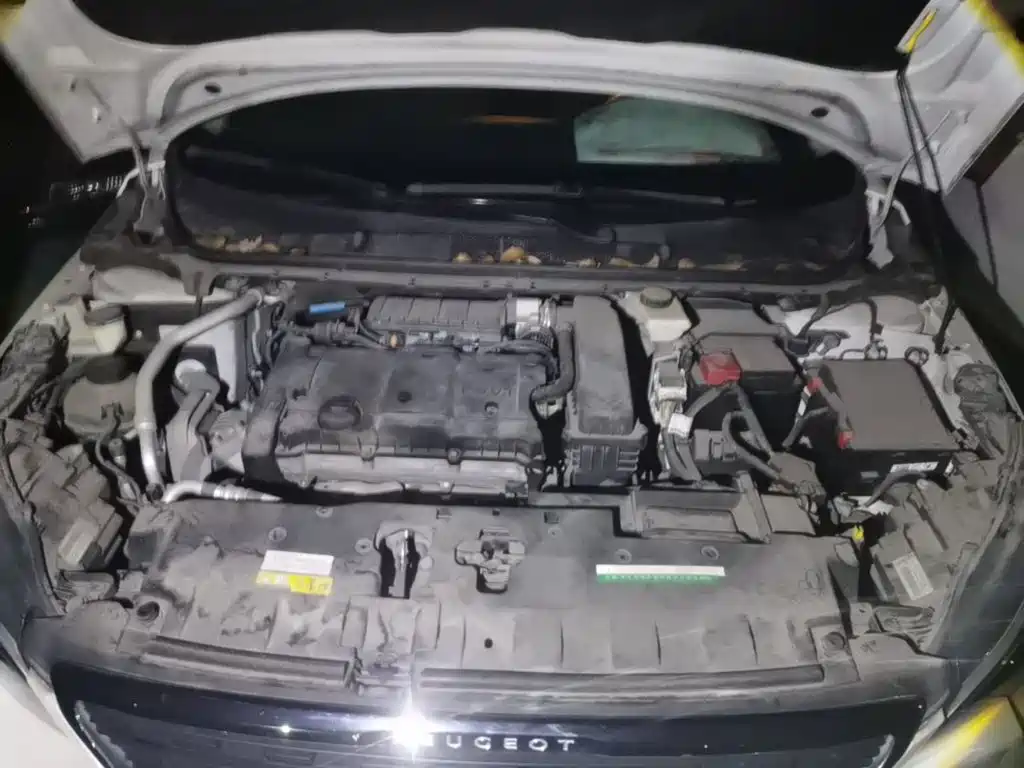 Peugeot 308 — миниатюра 20