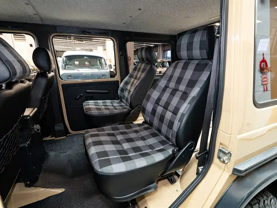 Mercedes-Benz G-Class G 2010 G 300 P