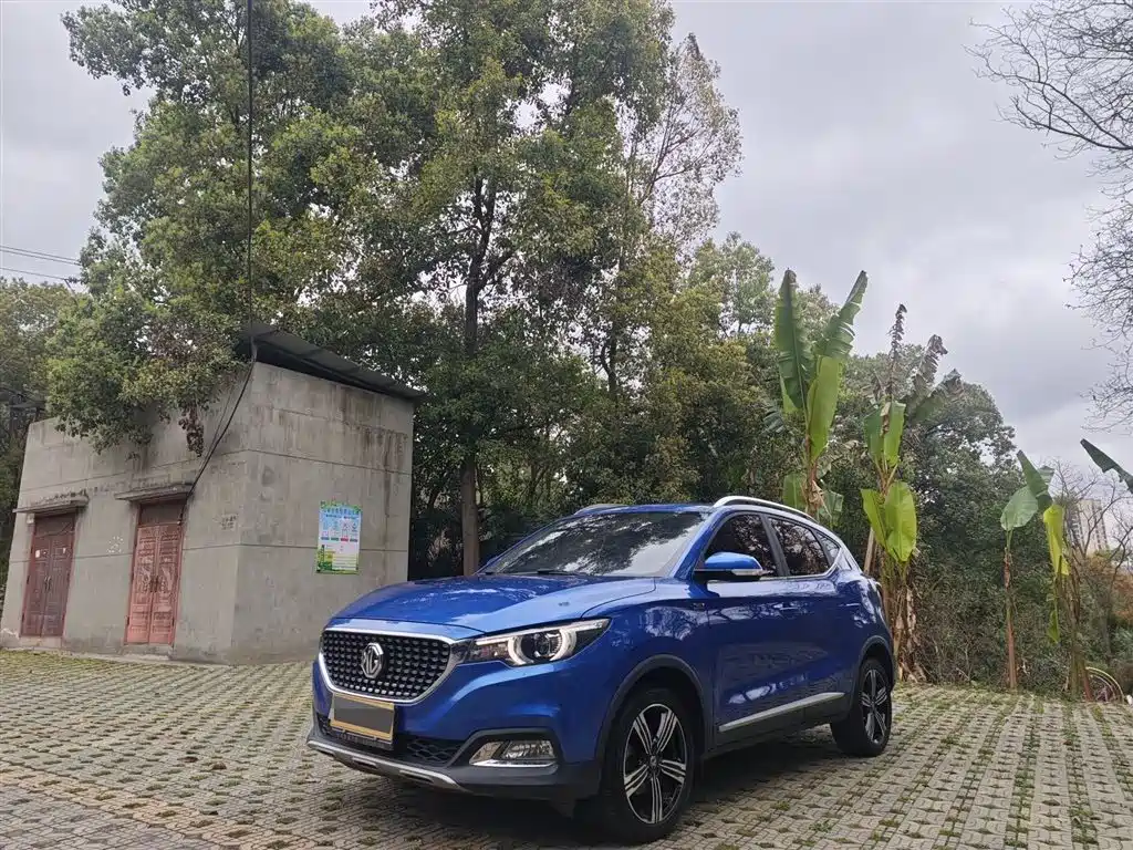 Mg ZS 2019