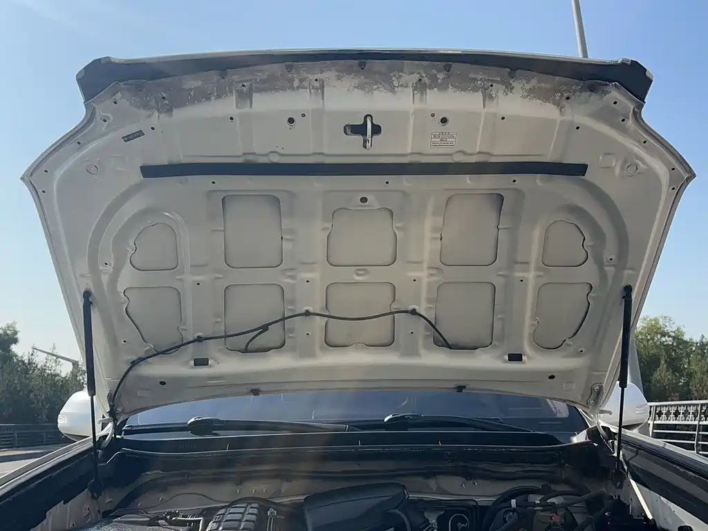 Toyota Prado (Import) — миниатюра 25