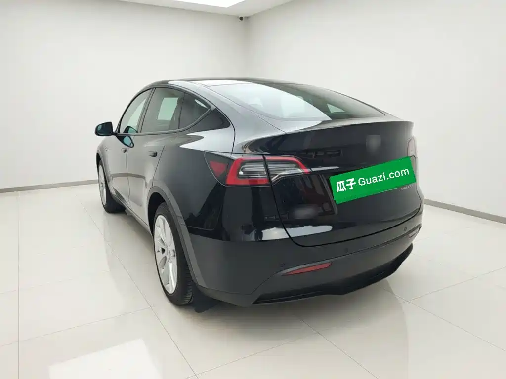 Tesla Model Y — миниатюра 4