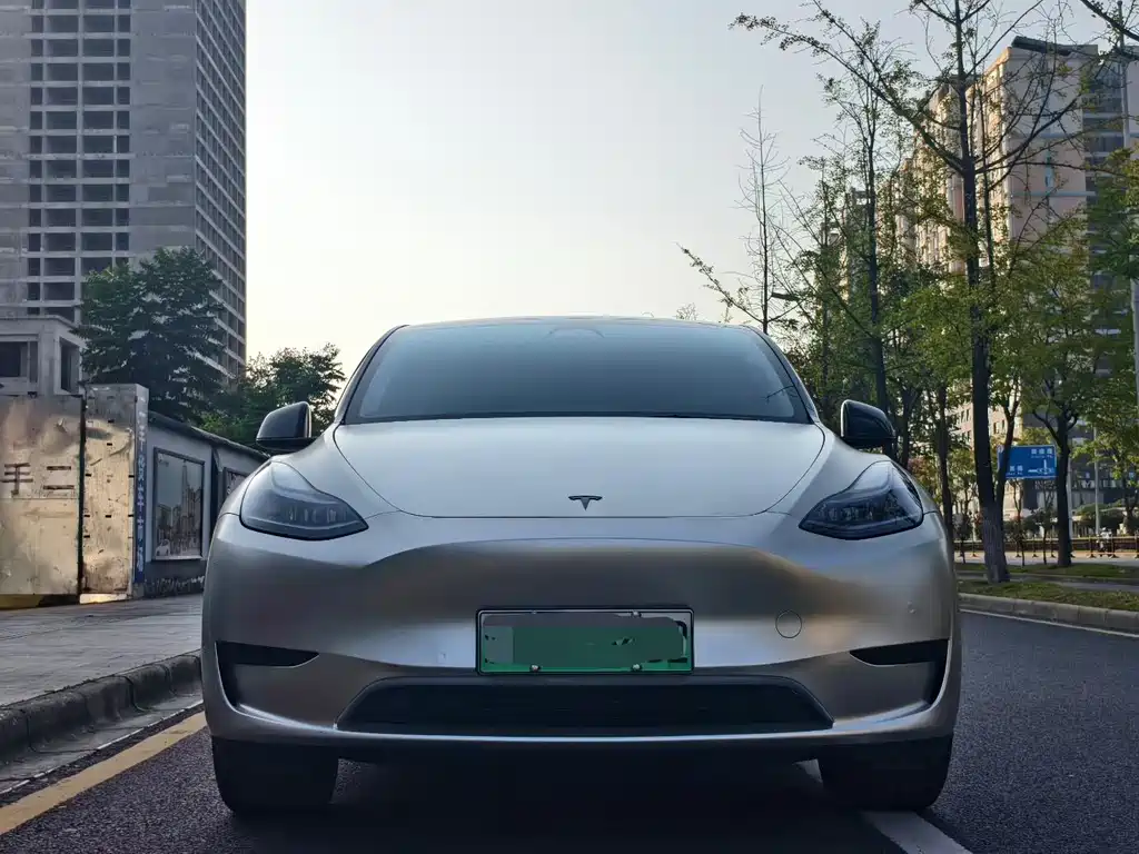 Tesla Model Y — миниатюра 2