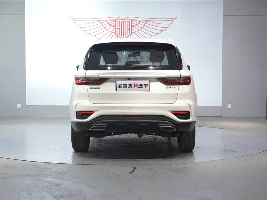 GEELY AUTOMOBILE VISION X6