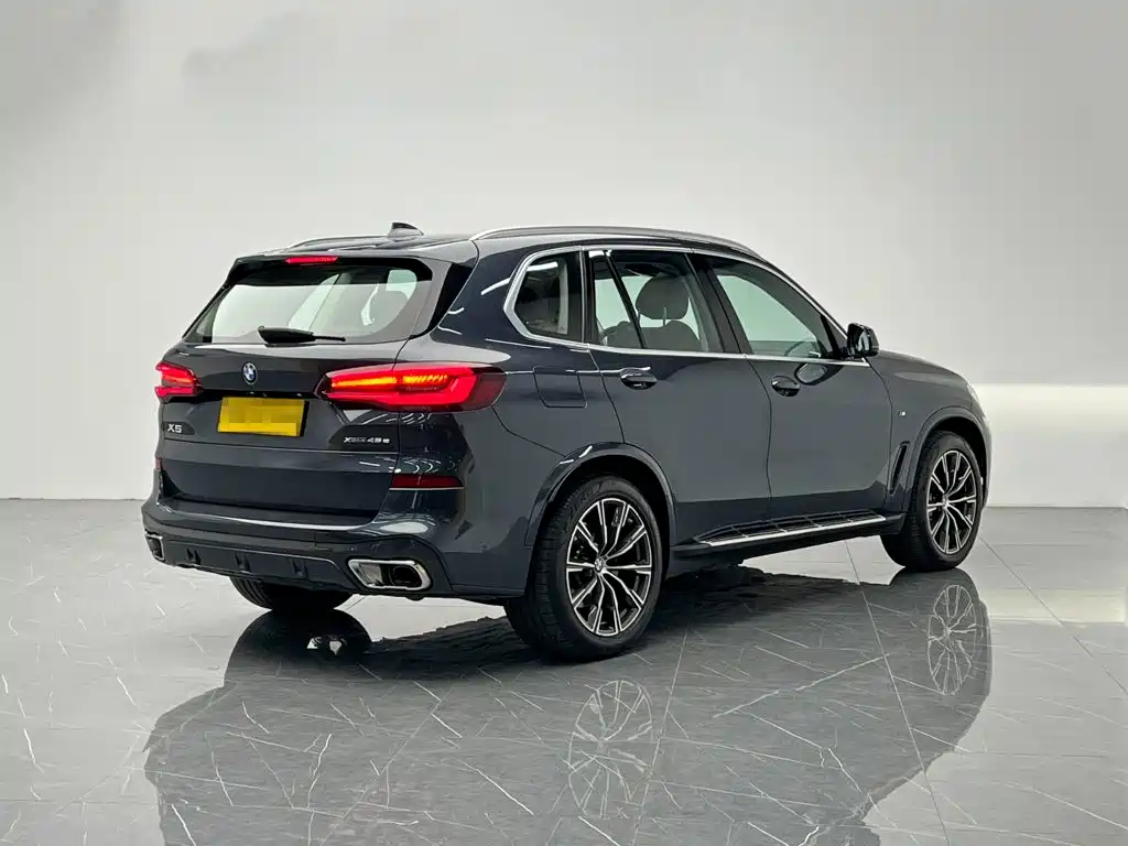 BMW X5 New Energy (Import) — миниатюра 6